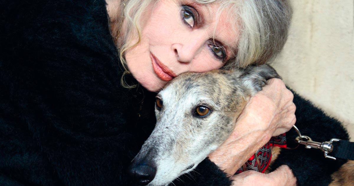 Brigitte Bardot et un chien — Fondation Brigitte Bardot